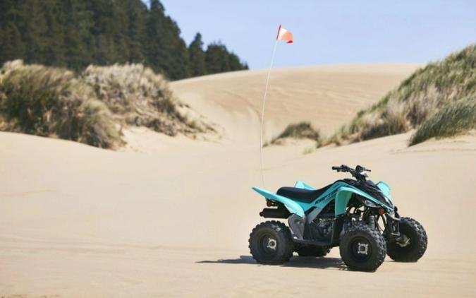 2024 Yamaha Raptor 110