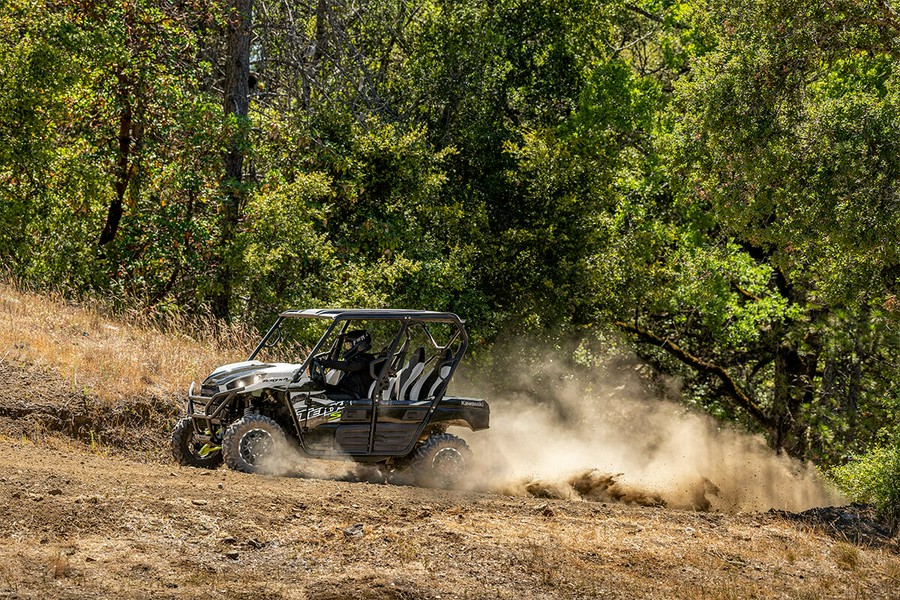 2025 Kawasaki TERYX4 S LE