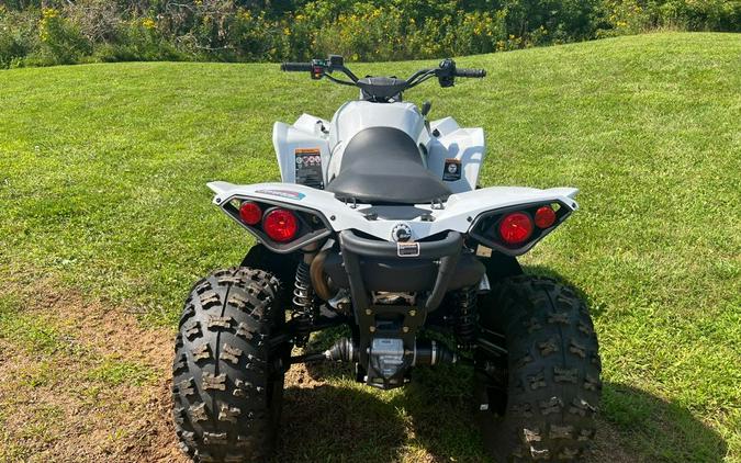 2024 Can-Am RENEGADE 650