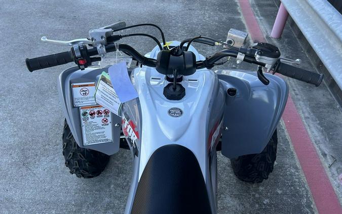 2026 Yamaha Raptor 700