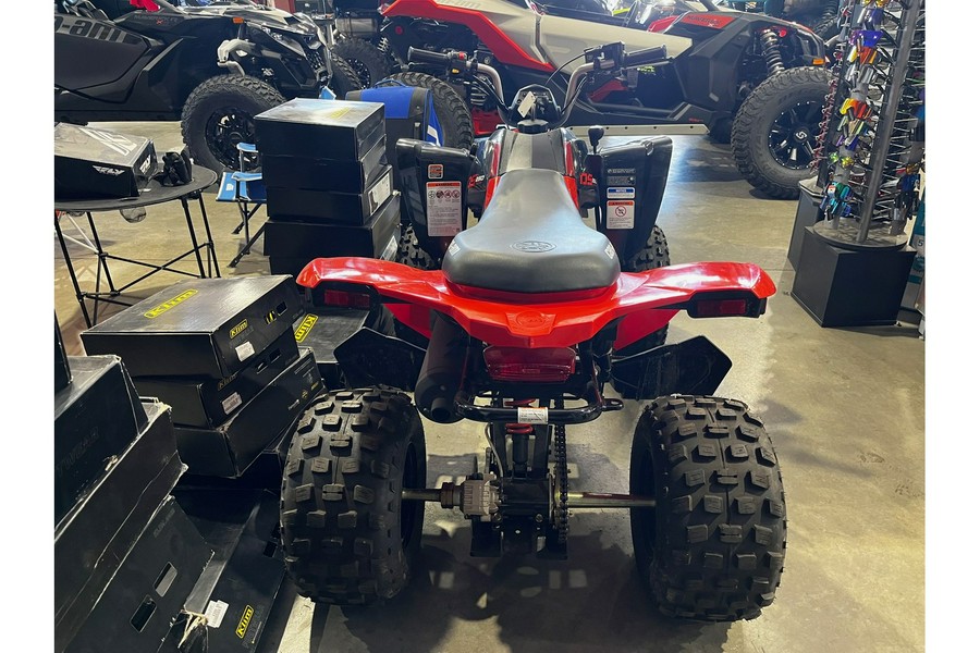 2023 Can-Am DS 250