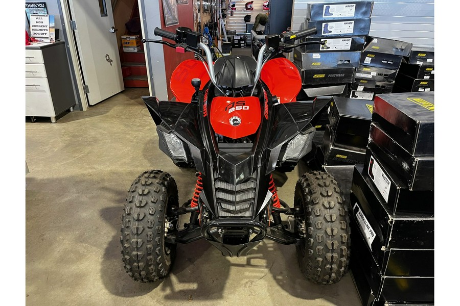 2023 Can-Am DS 250