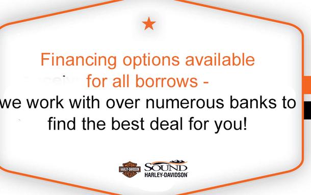 Harley-Davidson® CVO™ Limited Bronze Armor