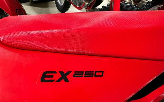 2025 GASGAS EX 250