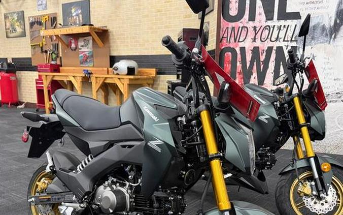 2025 Kawasaki Z125 PRO