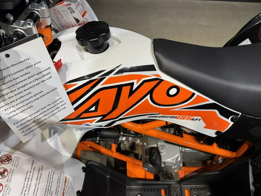 2025 Kayo Predator 125 EFI