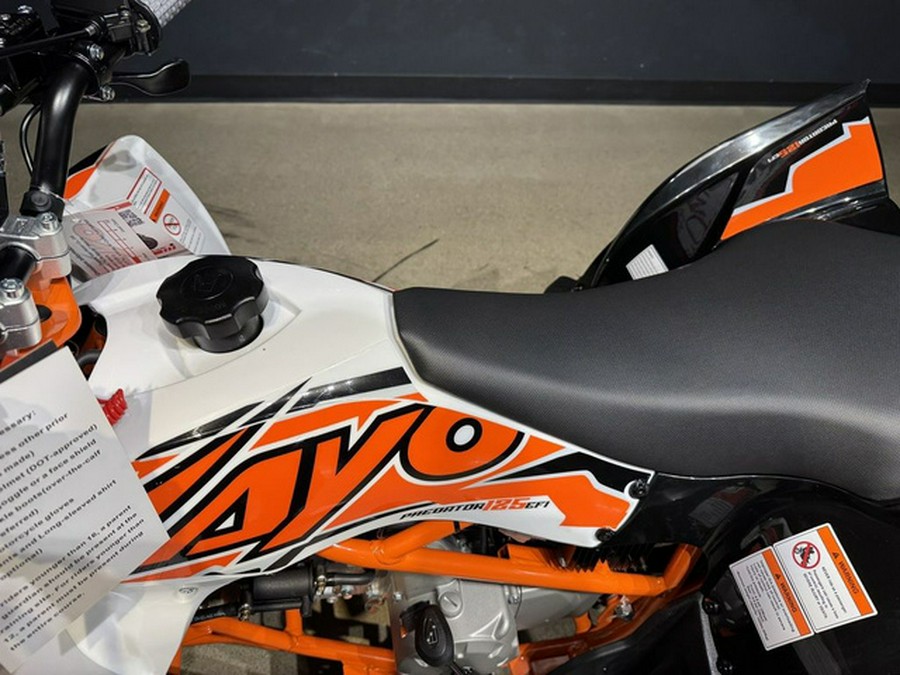 2025 Kayo Predator 125 EFI