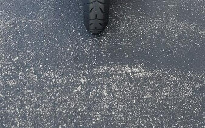 2025 Harley-Davidson Tri Glide Ultra