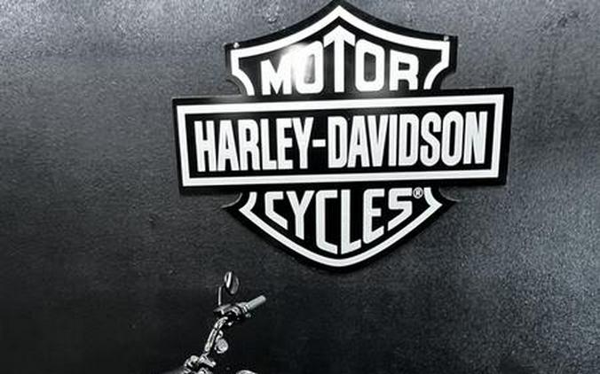 2020 Harley-Davidson® FLFBSANV - Softail® Fat Boy® 114 30th Anniversary