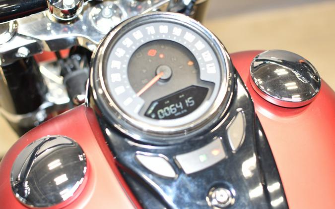 2020 Harley-Davidson Softail Slim FLSL