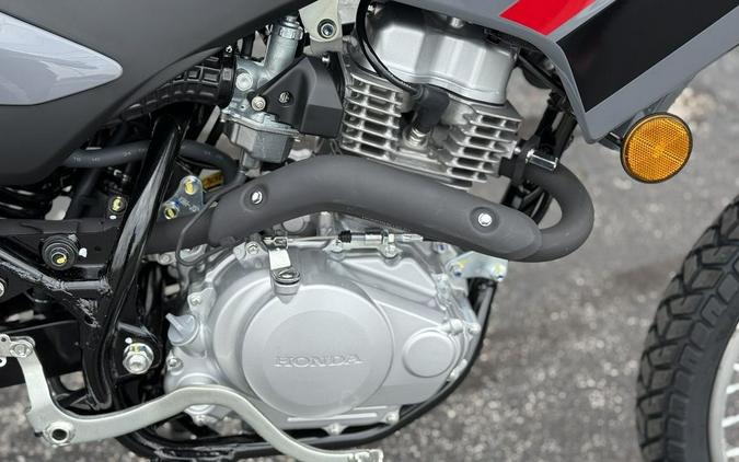 2026 Honda® Xr150L - 301990