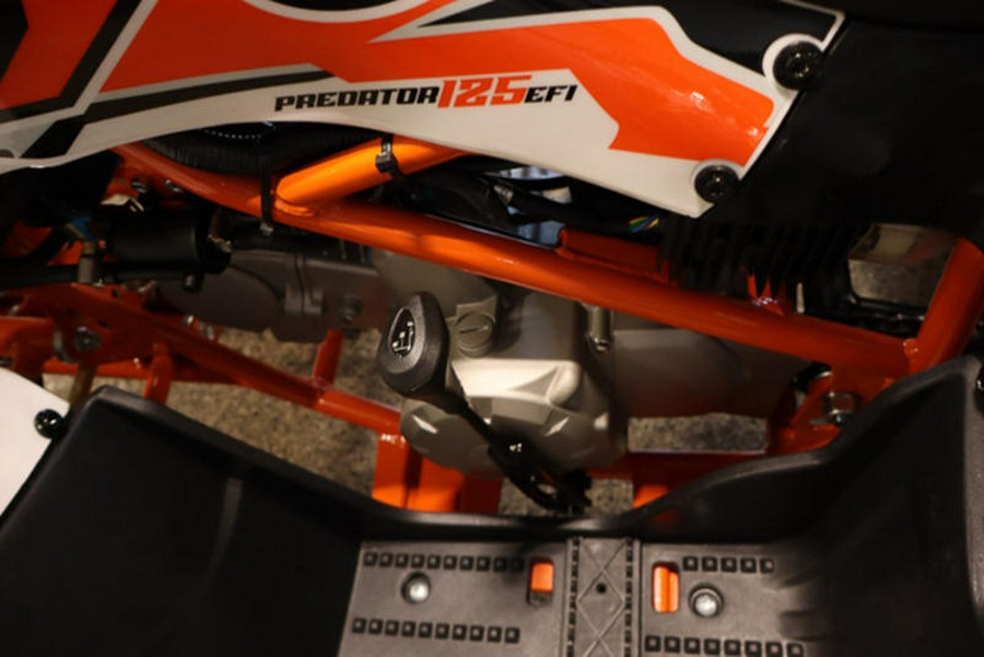 2025 Kayo Predator 125 EFI