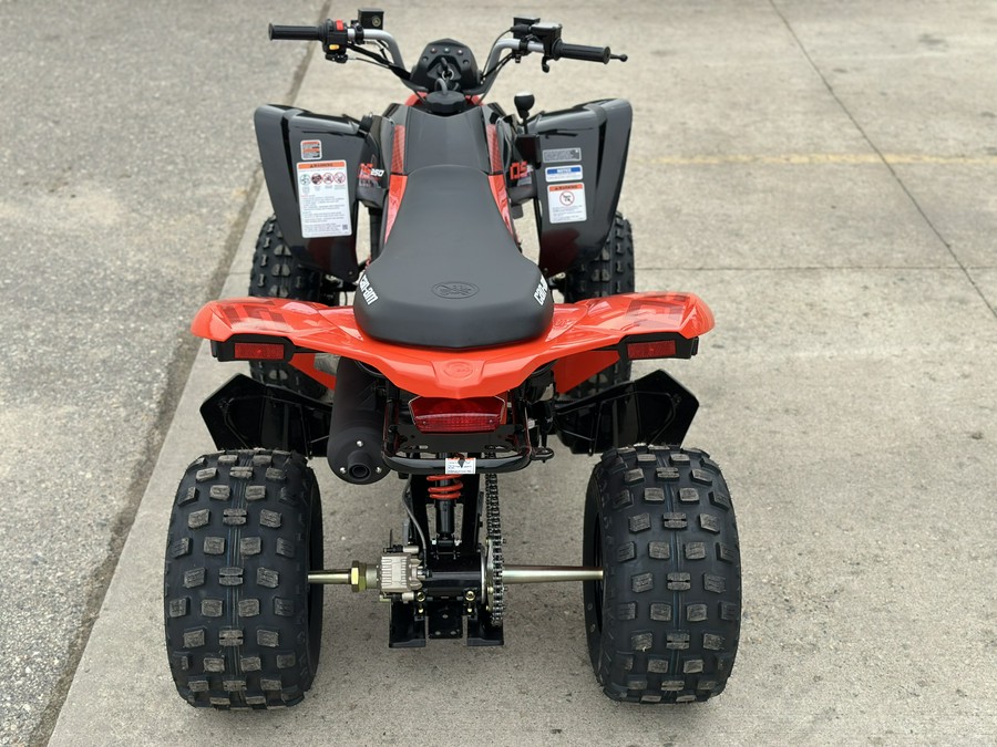 2026 Can-Am DS 250
