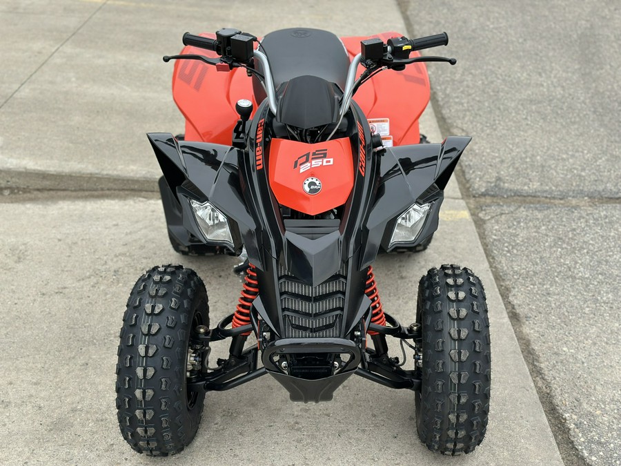 2026 Can-Am DS 250