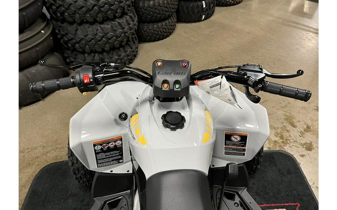 2024 Can-Am Renegade 110 EFI