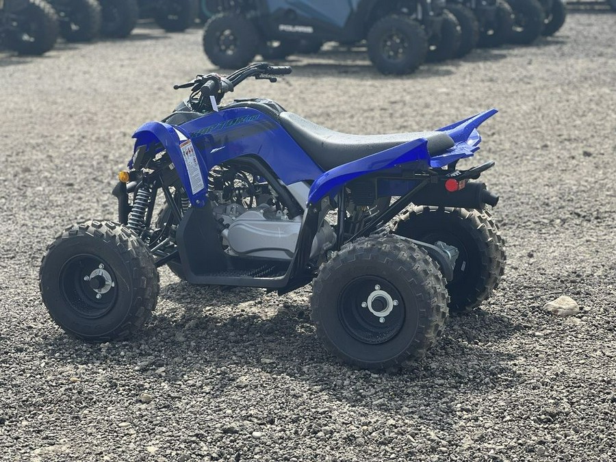 2025 Yamaha Raptor 110