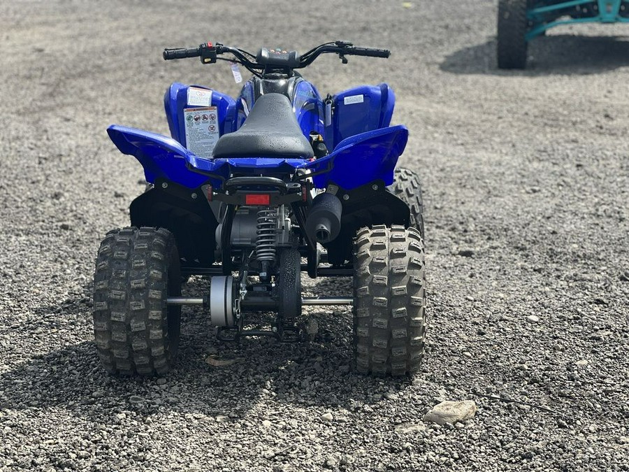 2025 Yamaha Raptor 110