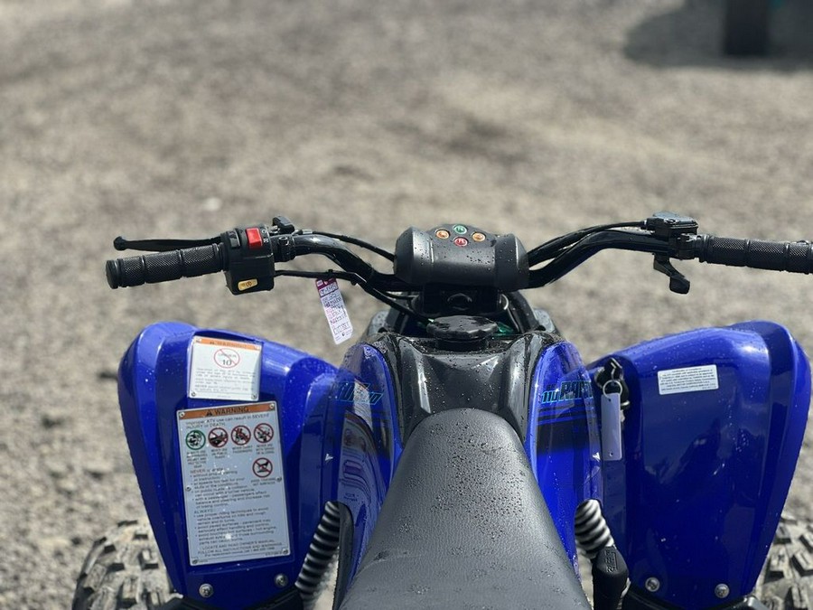 2025 Yamaha Raptor 110