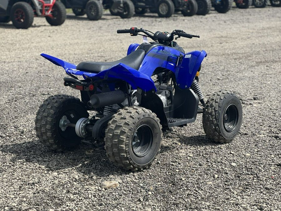 2025 Yamaha Raptor 110
