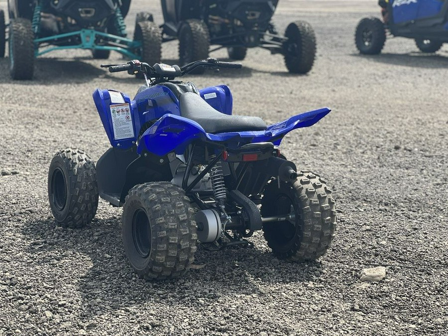 2025 Yamaha Raptor 110