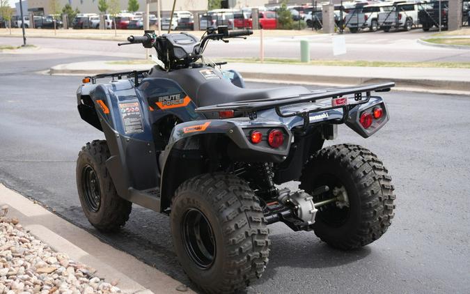 2026 Kawasaki Brute Force® 300