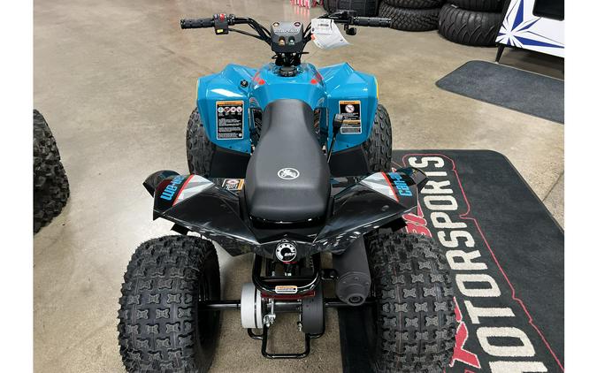 2024 Can-Am Renegade 110 EFI