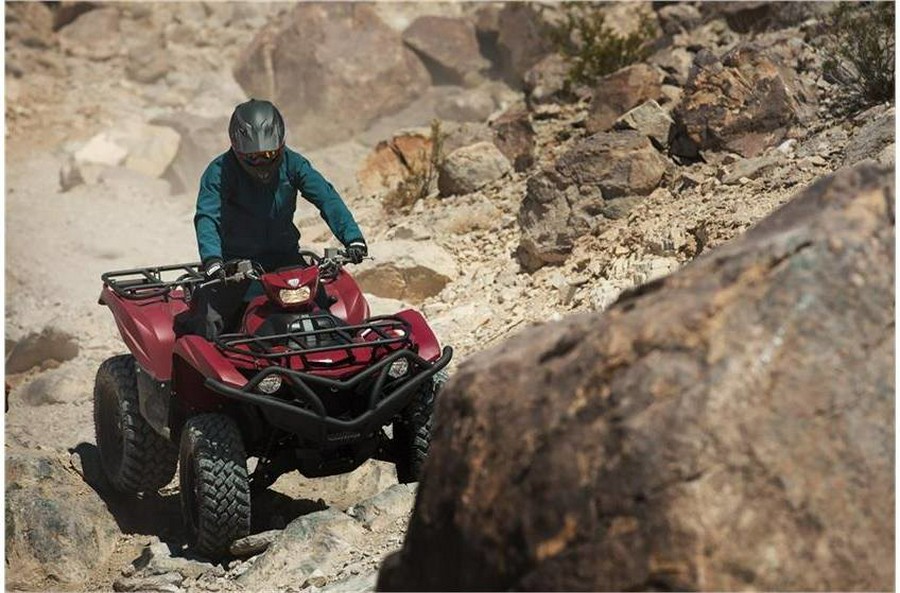 2019 GRIZZLY 700 EPS - Yamaha