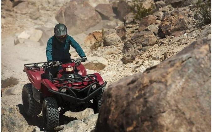 2019 GRIZZLY 700 EPS - Yamaha
