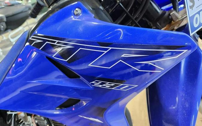 2022 Yamaha TT-R230