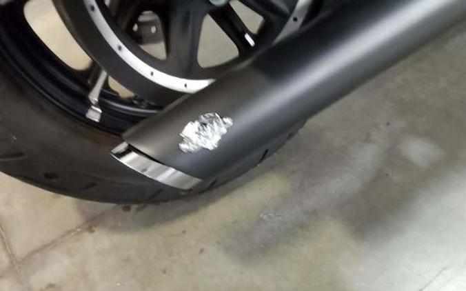 2020 Harley-Davidson® XL883N - Sportster® Iron 883™