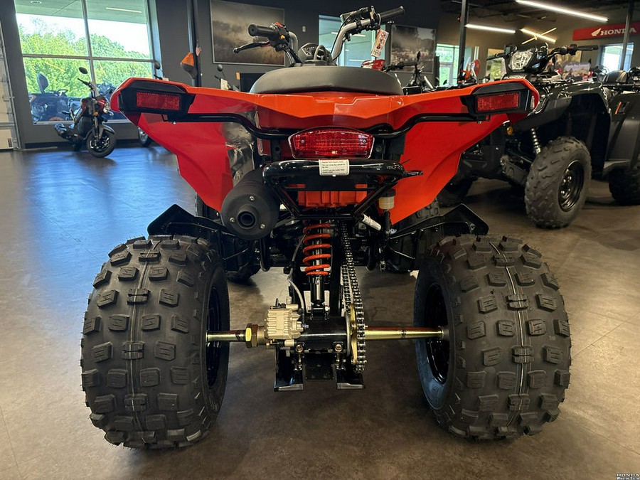 2026 Can-Am® DS 250