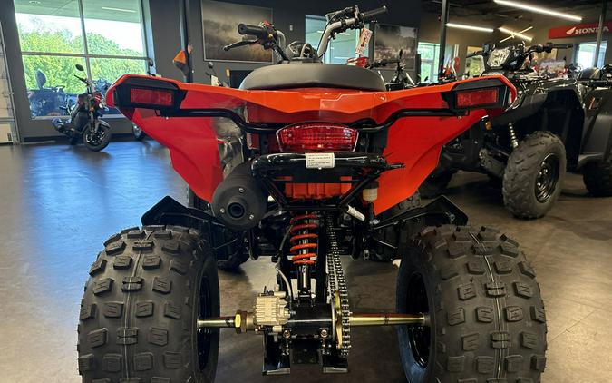 2026 Can-Am® DS 250