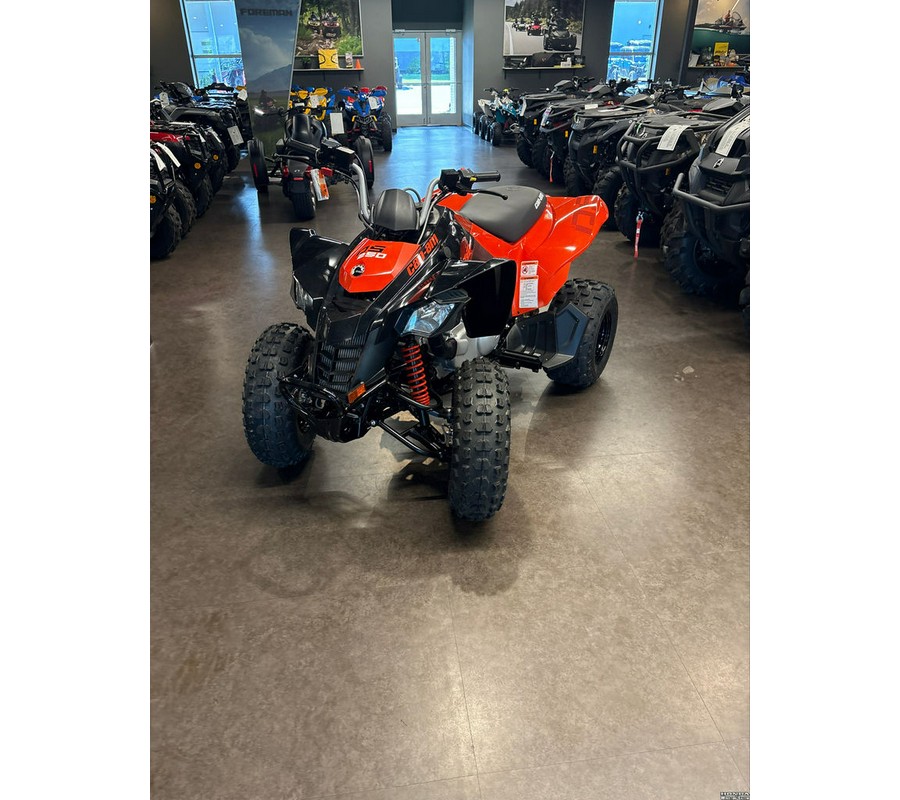 2026 Can-Am® DS 250