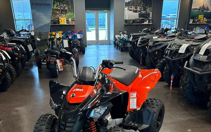 2026 Can-Am® DS 250