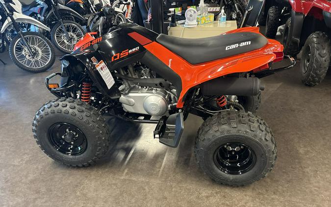 2026 Can-Am® DS 250