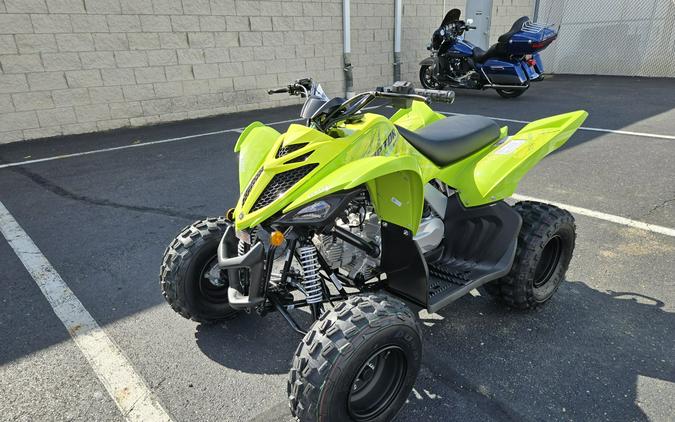 2026 Yamaha Raptor 110