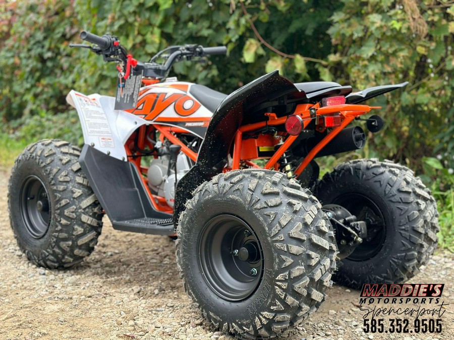 2025 Kayo Predator 125 EFI