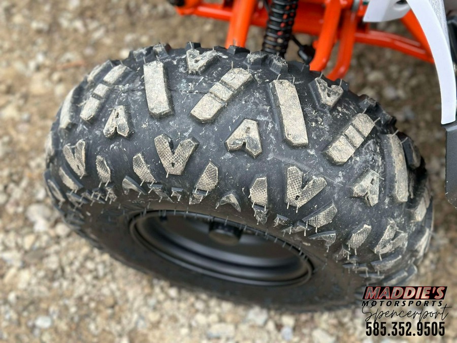 2025 Kayo Predator 125 EFI