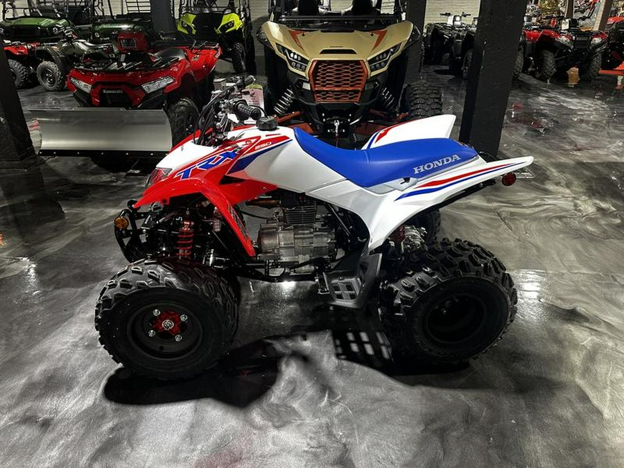 2026 Honda® TRX250X