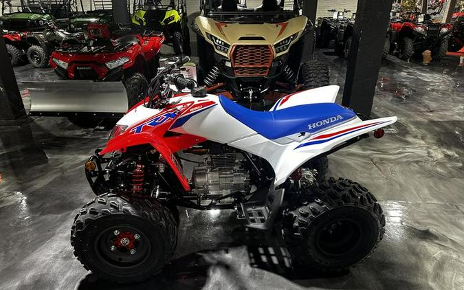 2026 Honda® TRX250X