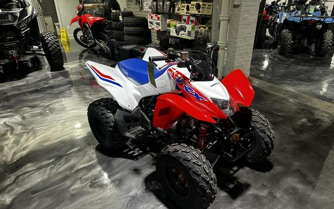 2026 Honda® TRX250X