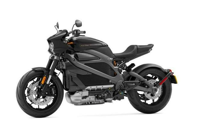 2020 Harley-Davidson LiveWire First Ride