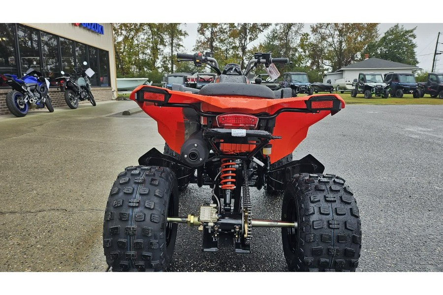 2026 Can-Am DS 2X4 250