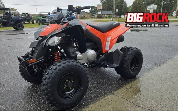 2026 Can-AM DS 250 2X4