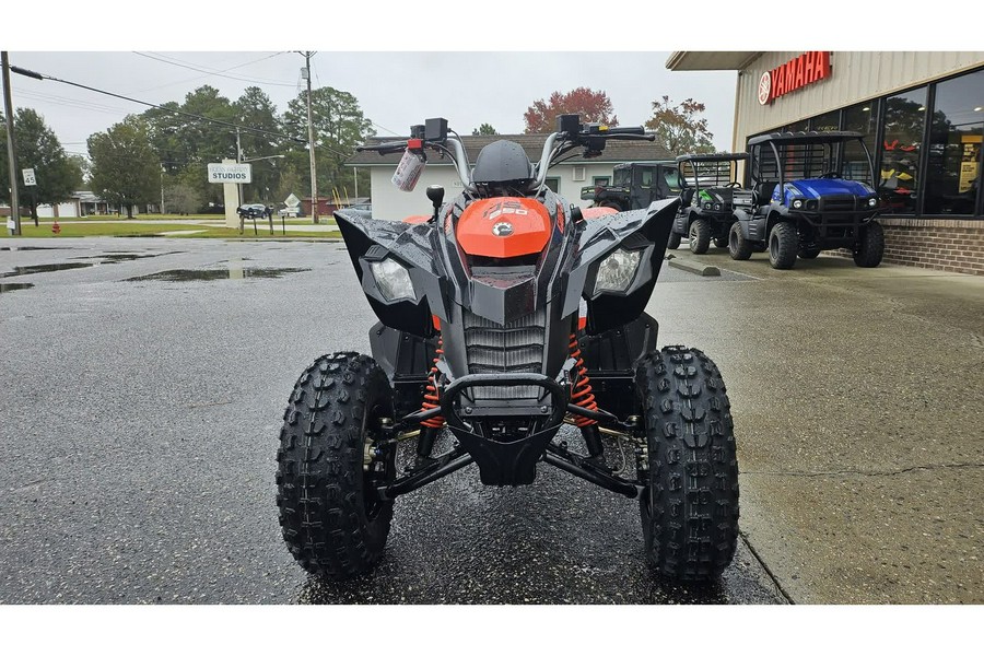 2026 Can-Am DS 2X4 250