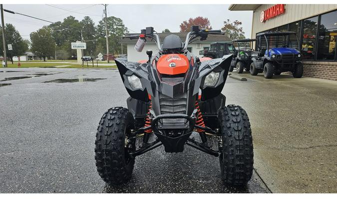2026 Can-Am DS 2X4 250