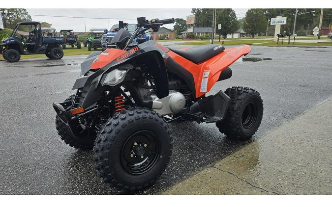 2026 Can-Am DS 2X4 250