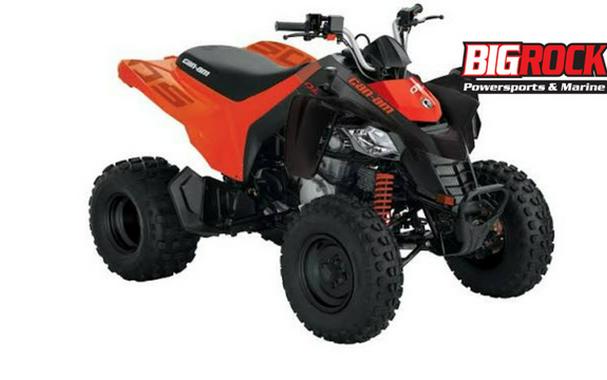 2026 Can-AM DS 250 2X4