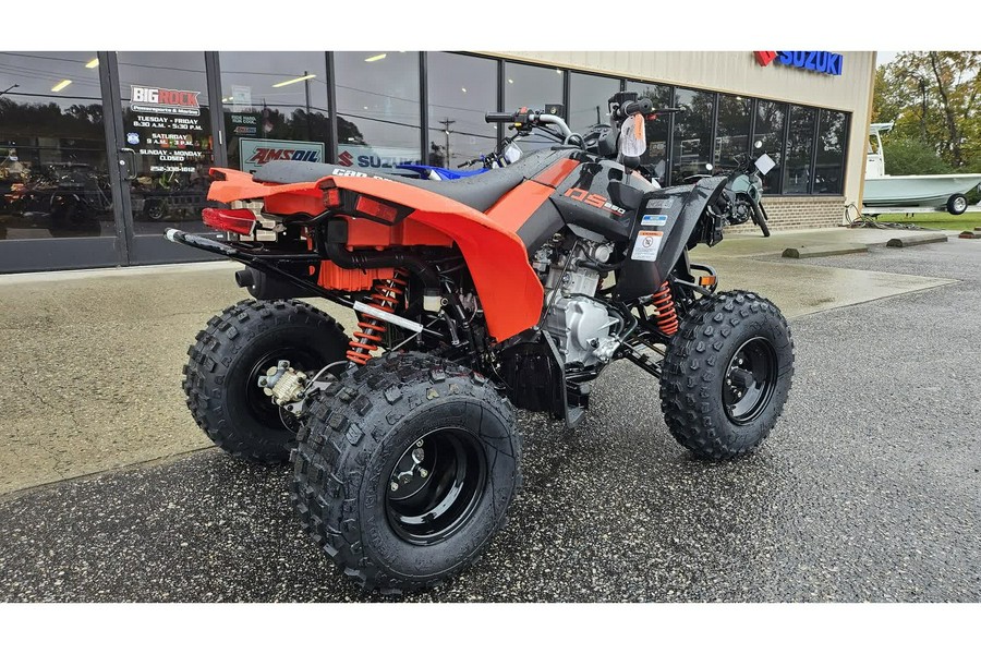 2026 Can-Am DS 2X4 250