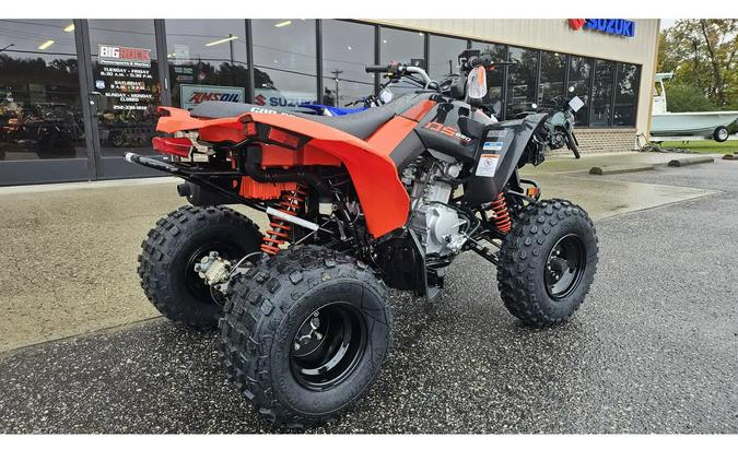 2026 Can-Am DS 2X4 250